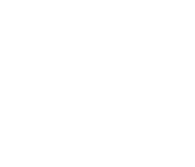 BIG Direkt  logo
