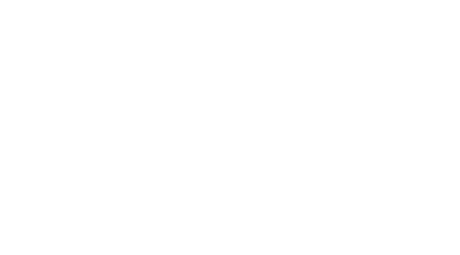 Silverfort logo