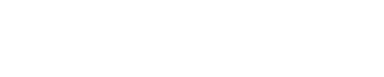 BIG - direkt gesund logo