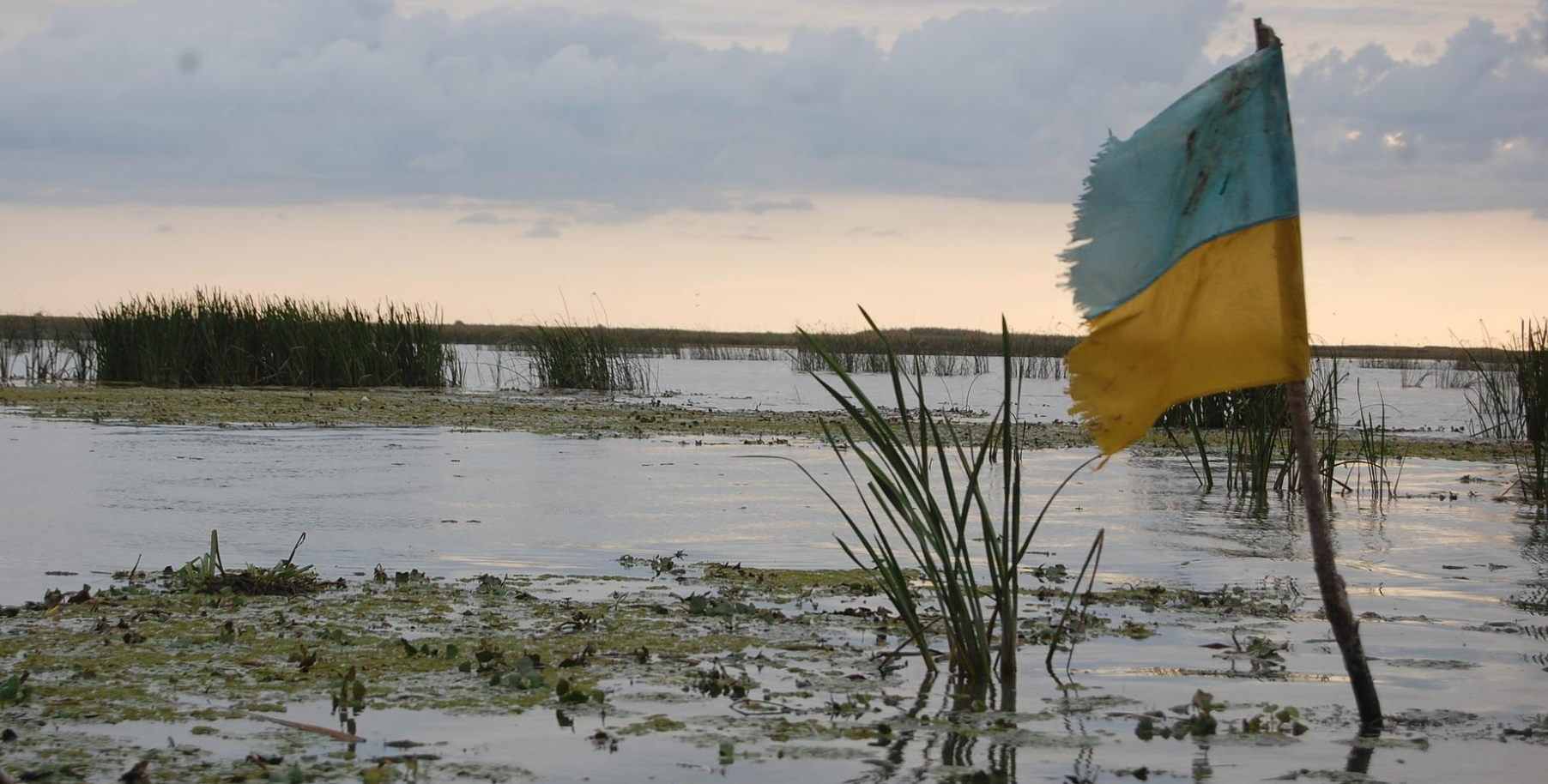 Krieg in der Ukraine: Gefahr von Cyberkrieg - Das sollten Sie jetzt tun