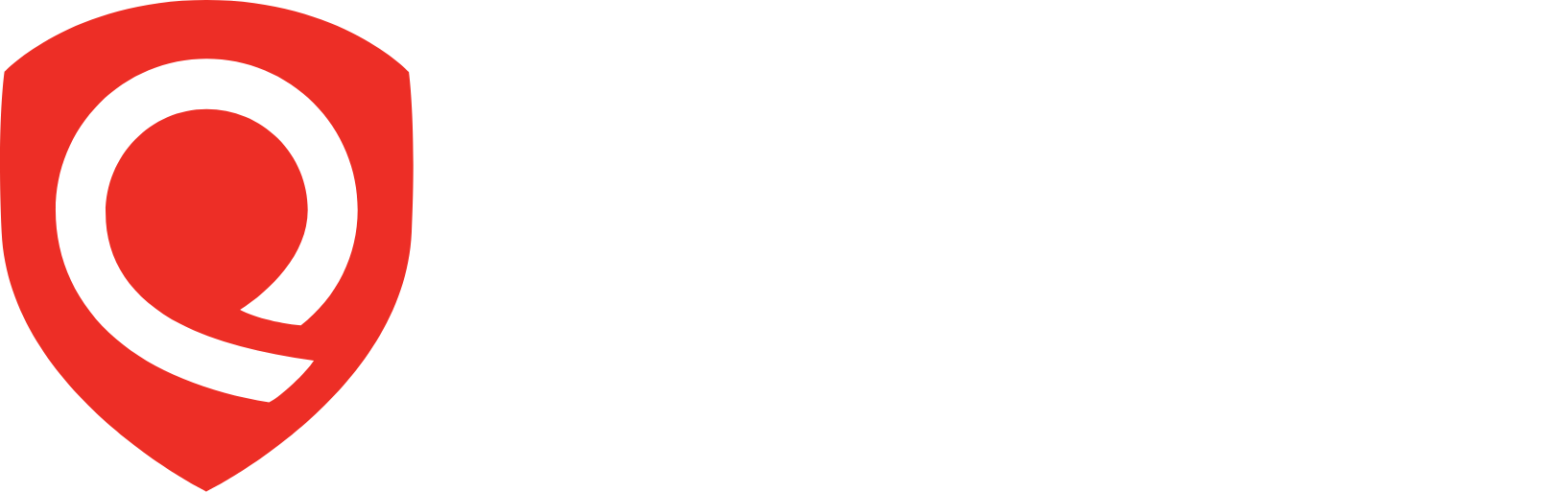 Qualys  logo
